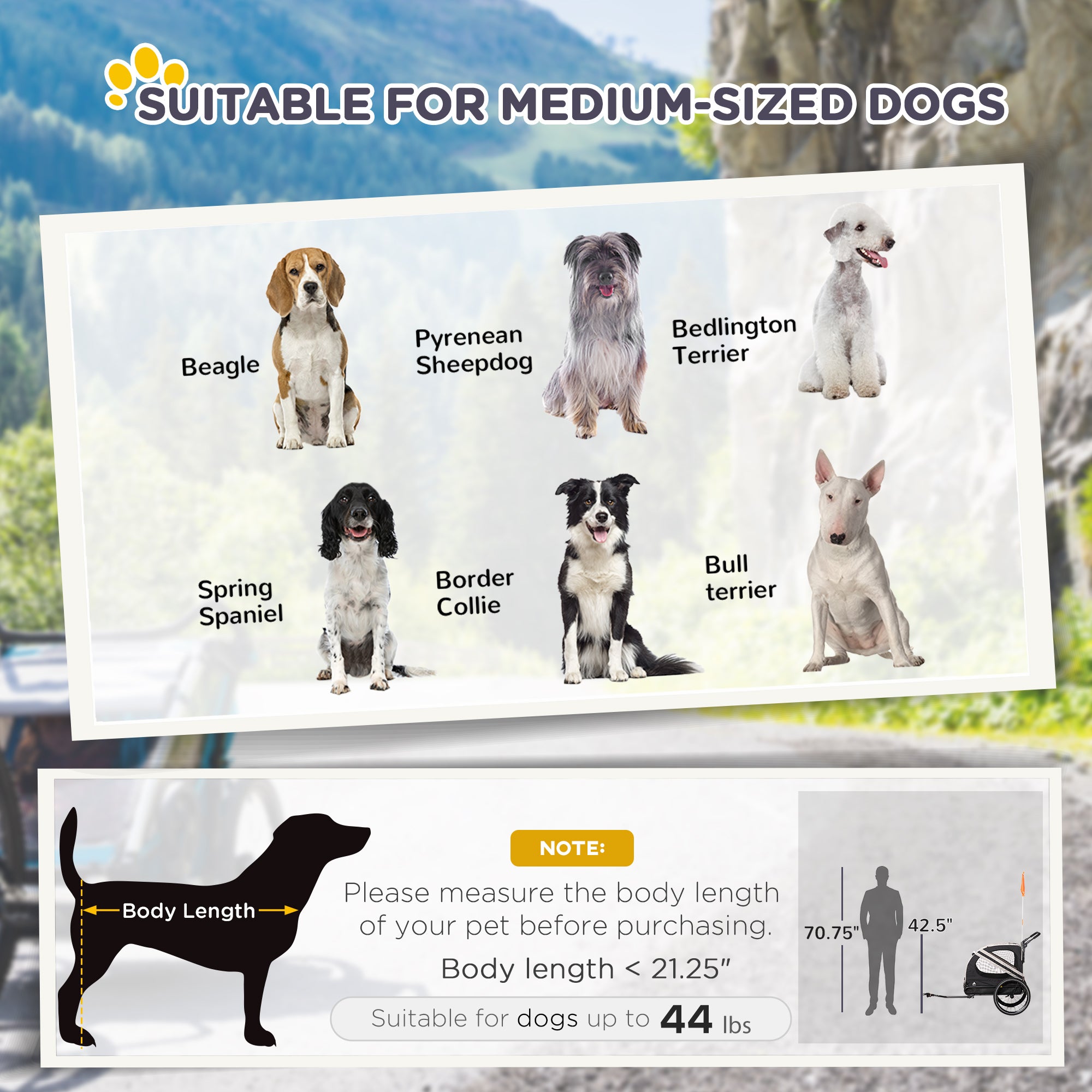 PawRoll Adventure Pet Trailer