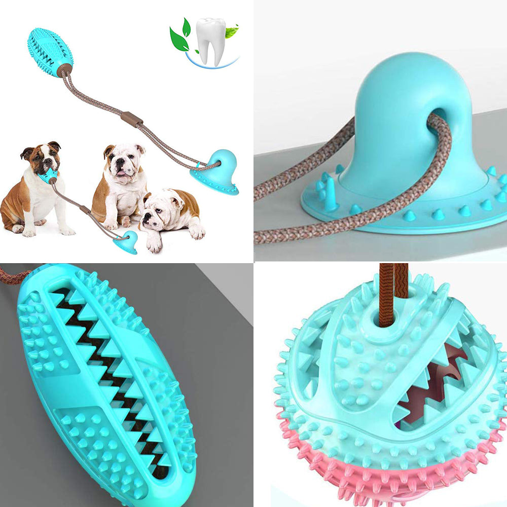 PawRoll Portable 3-in-1 Pet Travel Bottle
